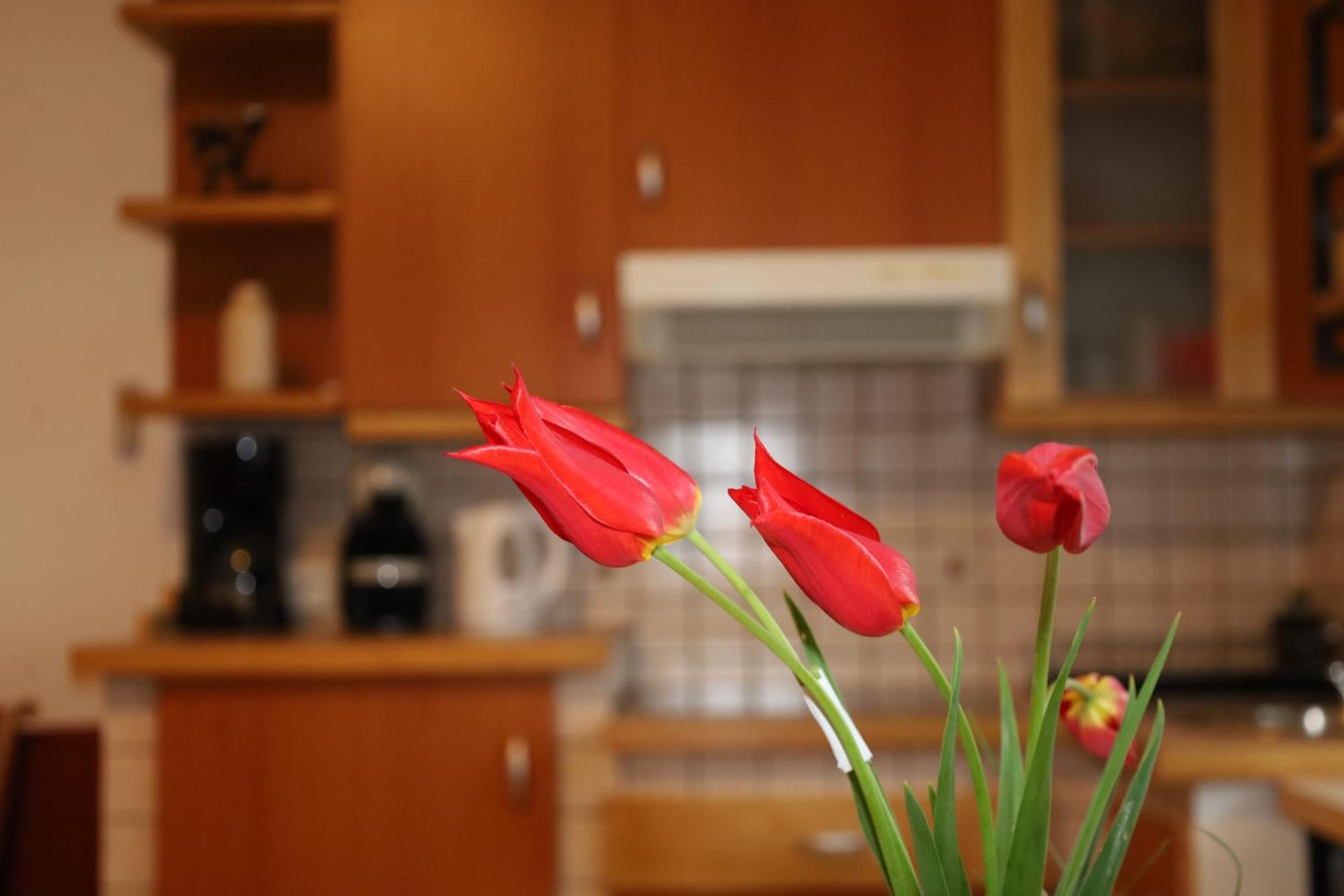 Apartment Norma Бовец Екстериор снимка